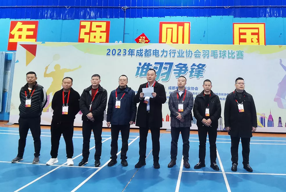Power Industry Association Badminton Competition