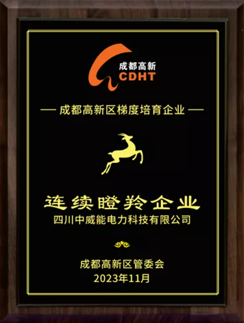 Chengdu High-tech Zone Continuous Growth Enterprise